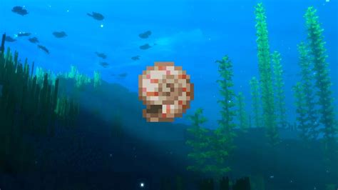 Las conchas de nautilus son necesarias para hacer conductos. . Minecraft nautilus shell use
